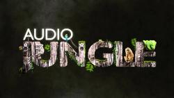 Фотография AudioJungle