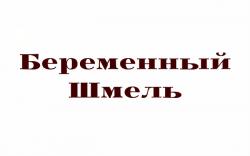 Фотография Беременный Шмель