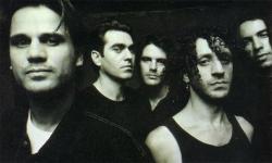 Фотография Noiseworks