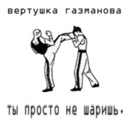 Фотография Вертушка Газманова