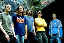 Фотография Grim Skunk