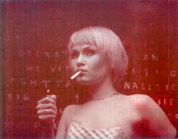 Фотография Импала