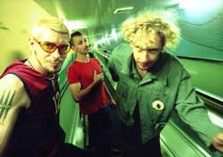 Фотография Pre Shrunk