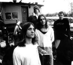 Фотография Reef