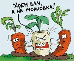 Фотография Прикольные песни